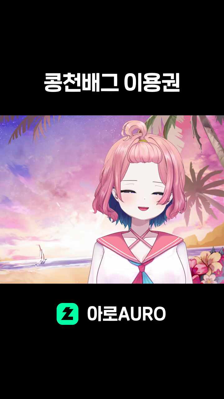 콩천배그 이용권