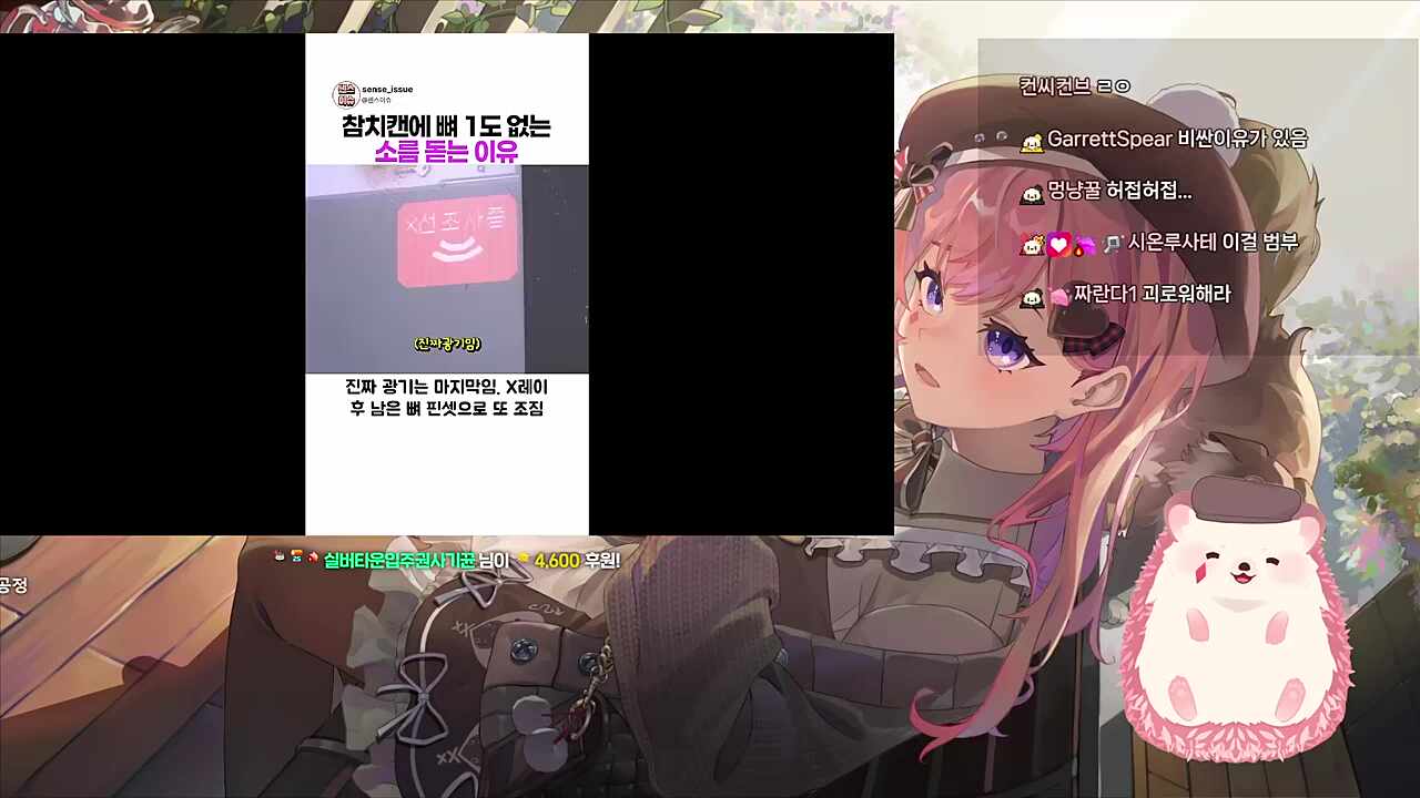 범부래요~