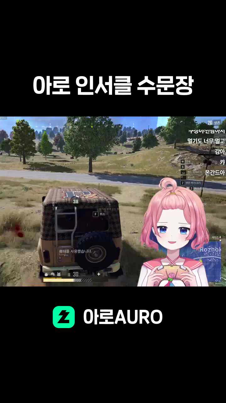 아로 인서클 수문장