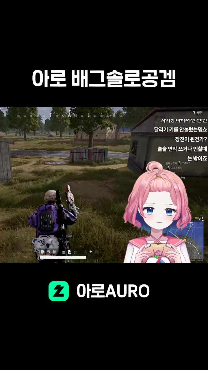 아로 배그솔로공겜