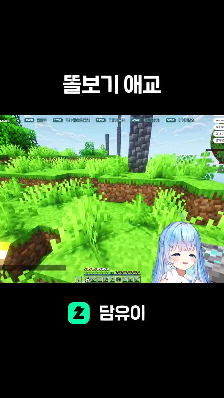똘보기 애교