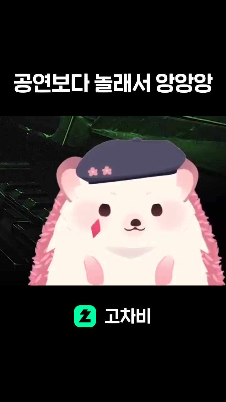 공연보다 놀래서 앙앙앙