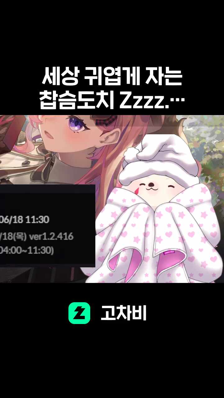 세상 귀엽게 자는 찹슴도치 Zzzz...