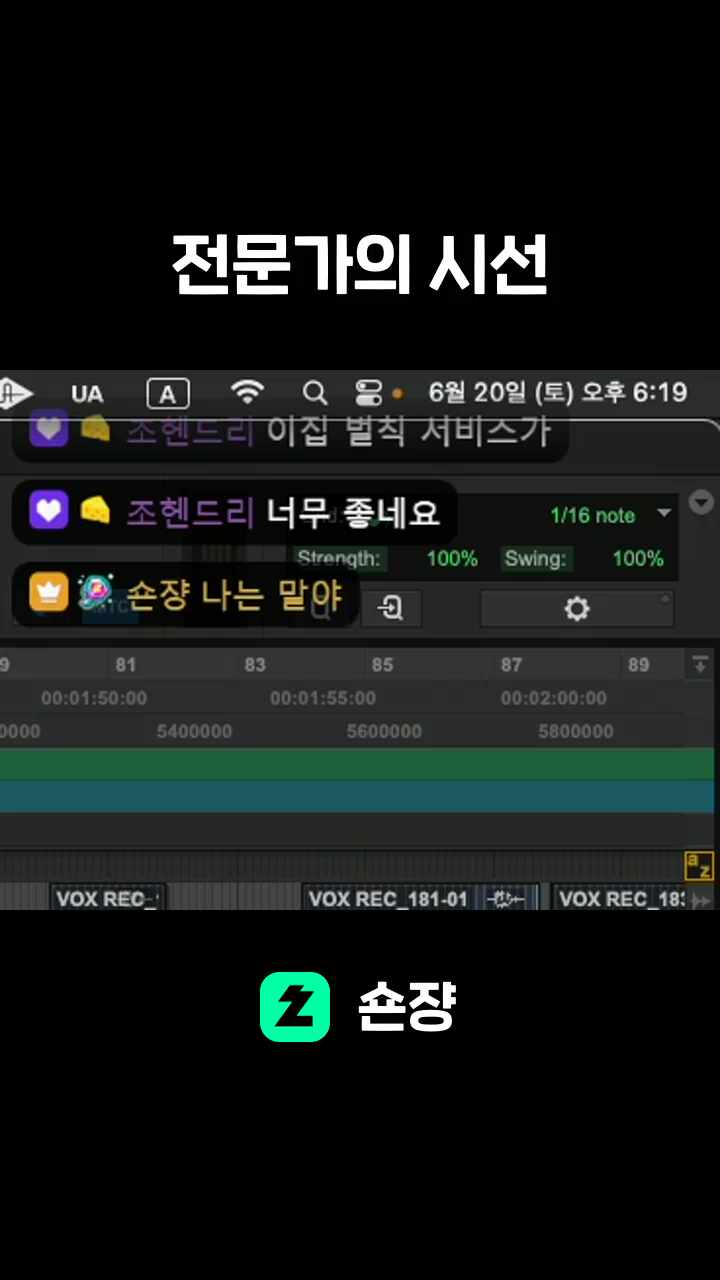 전문가의 시선