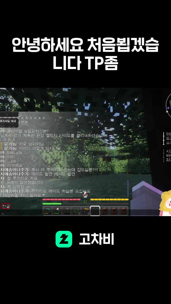 안녕하세요 처음뵙겠습니다 TP좀