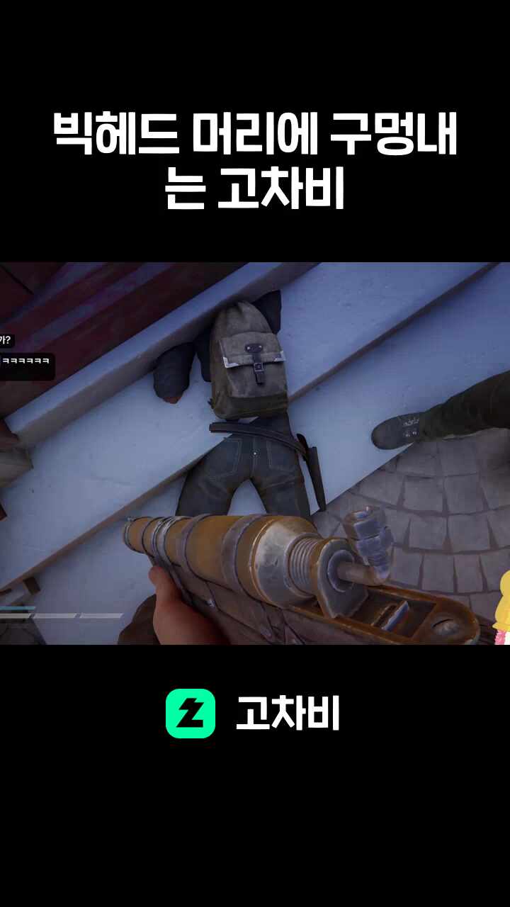 빅헤드 머리에 구멍내는 고차비