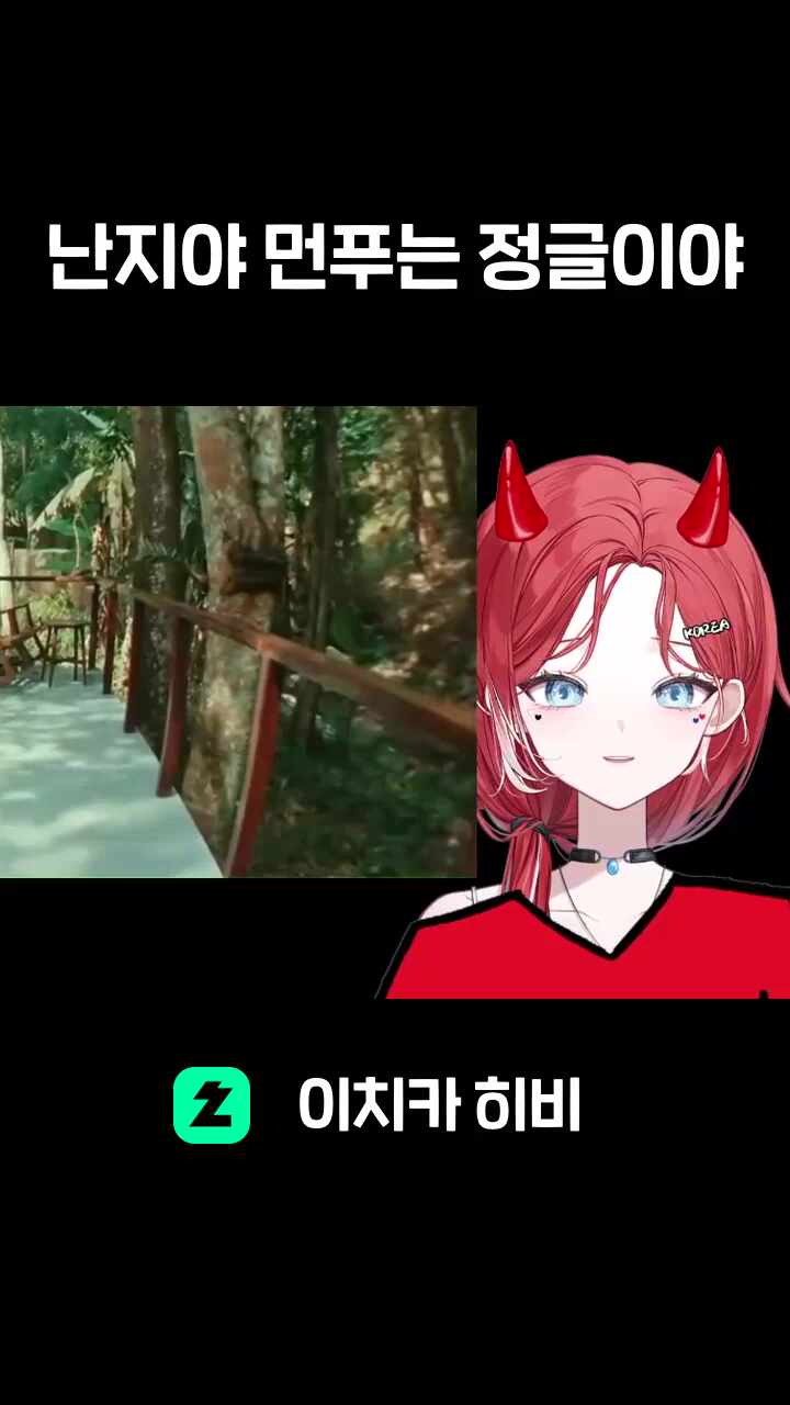 난지야 먼푸는 정글이야