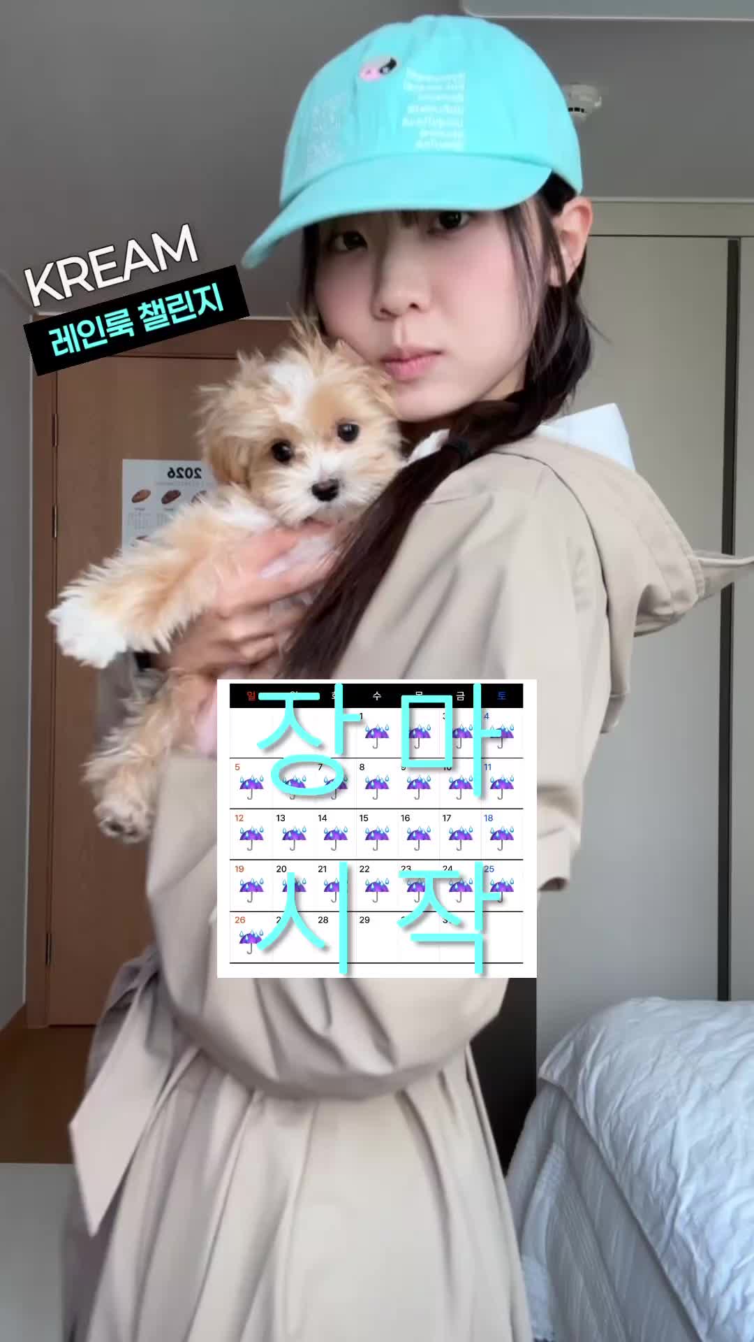 스타일 카드