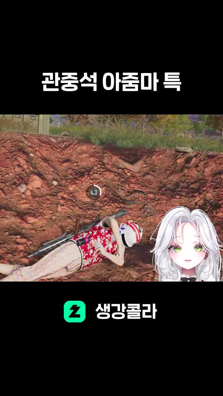 관중석 아줌마 특