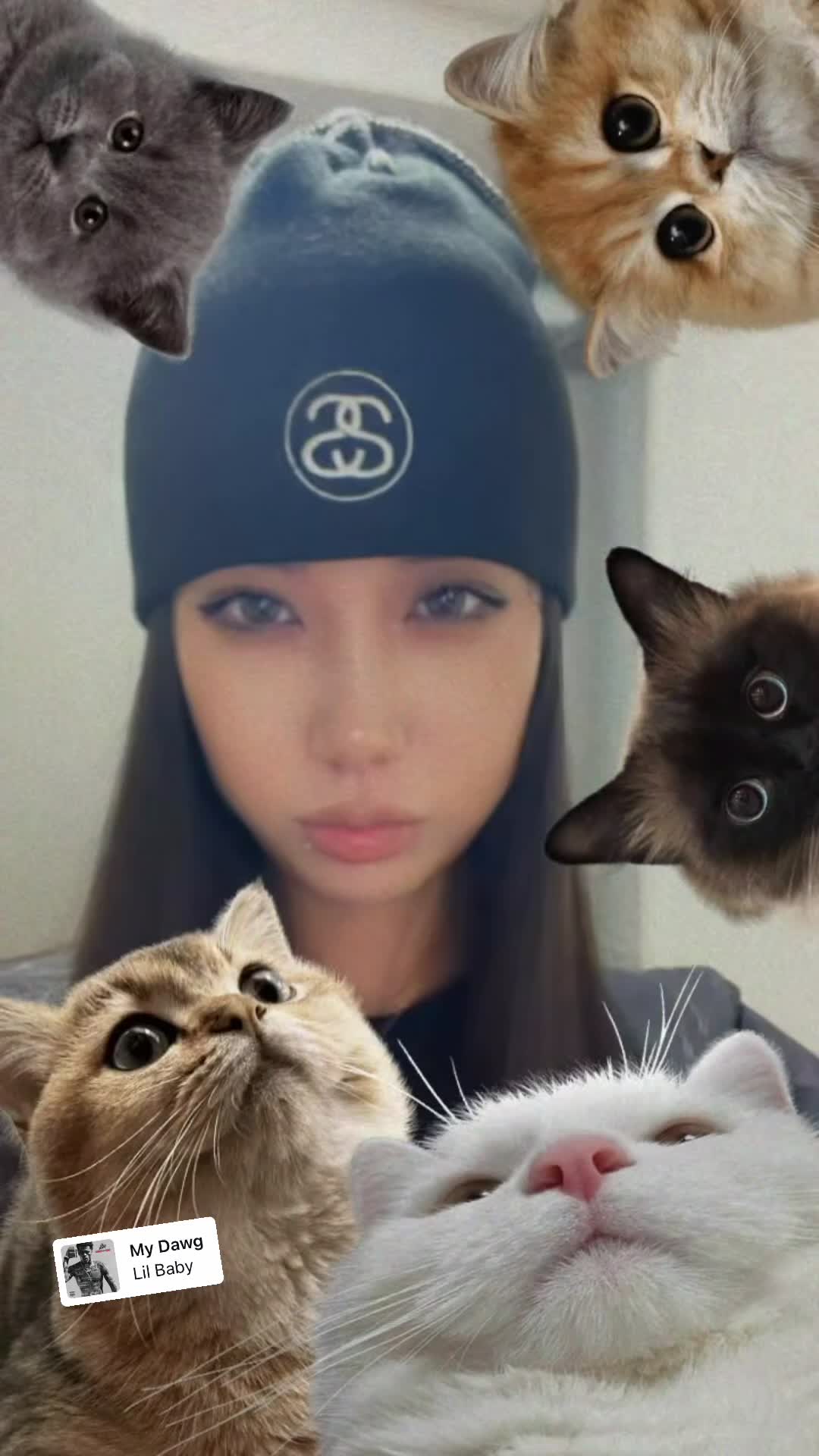 스타일 카드
