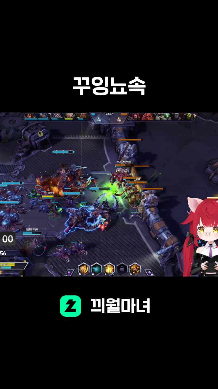 꾸잉뇨속