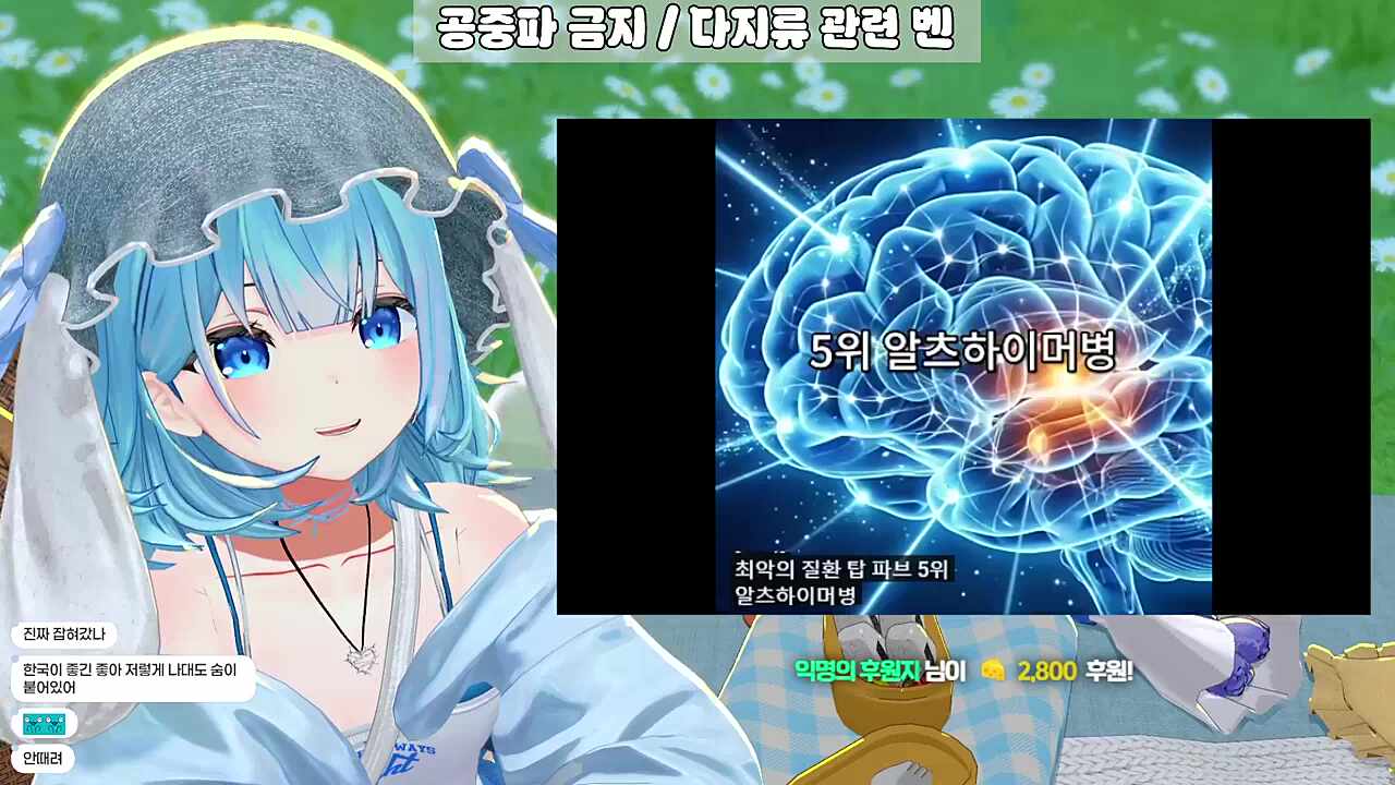 영도데이 4 _ 최악의 질병 top 5
