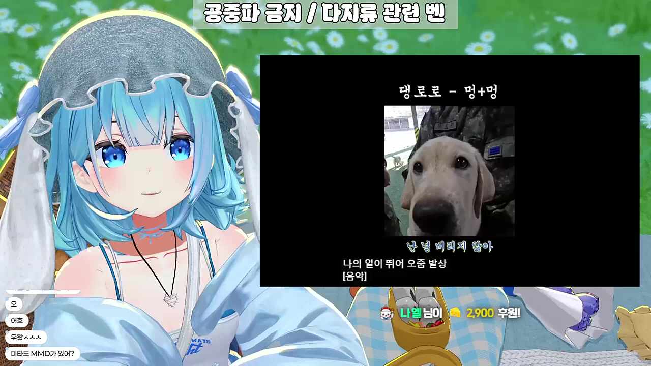 영도데이 2부 - 댕로로 -