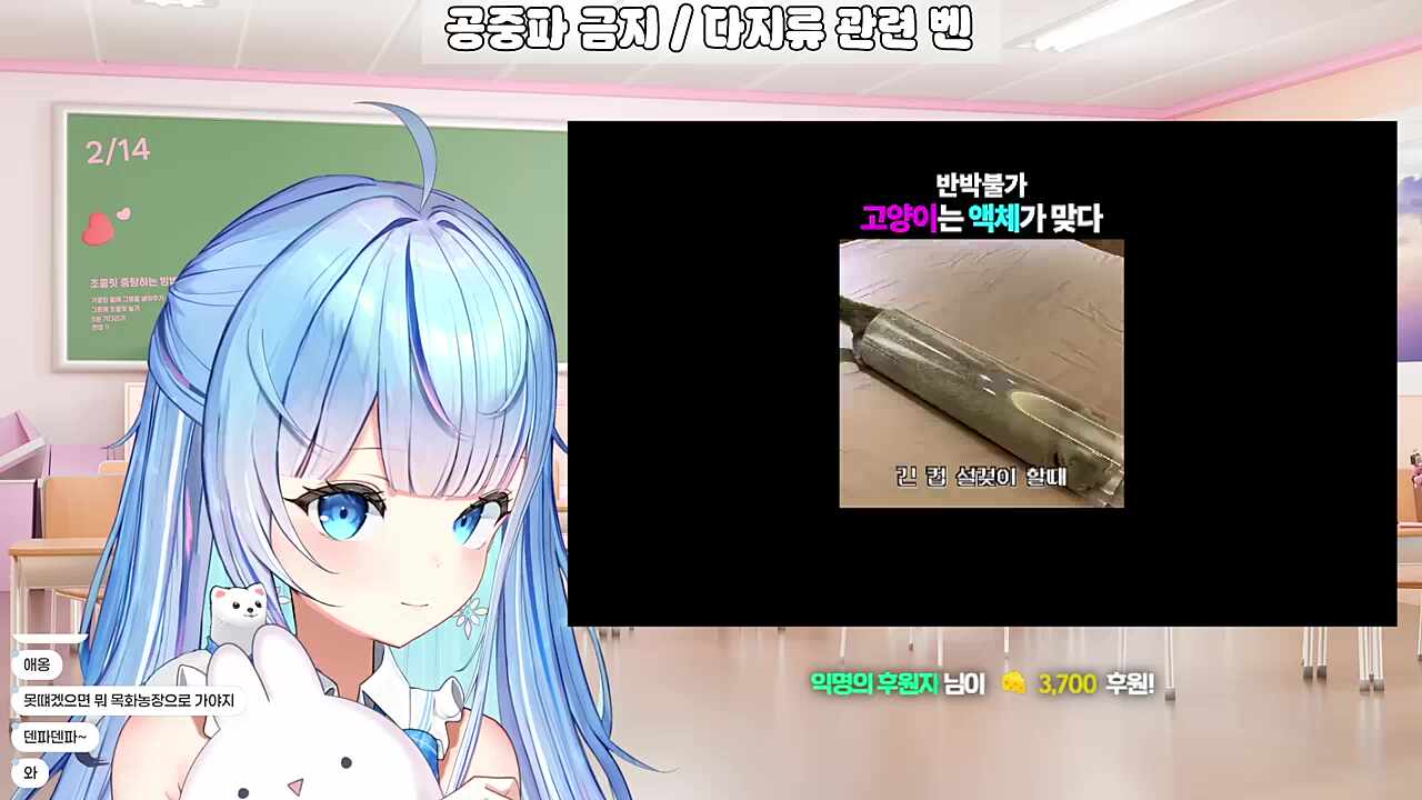 영도데이 ] 고양이 끼여어