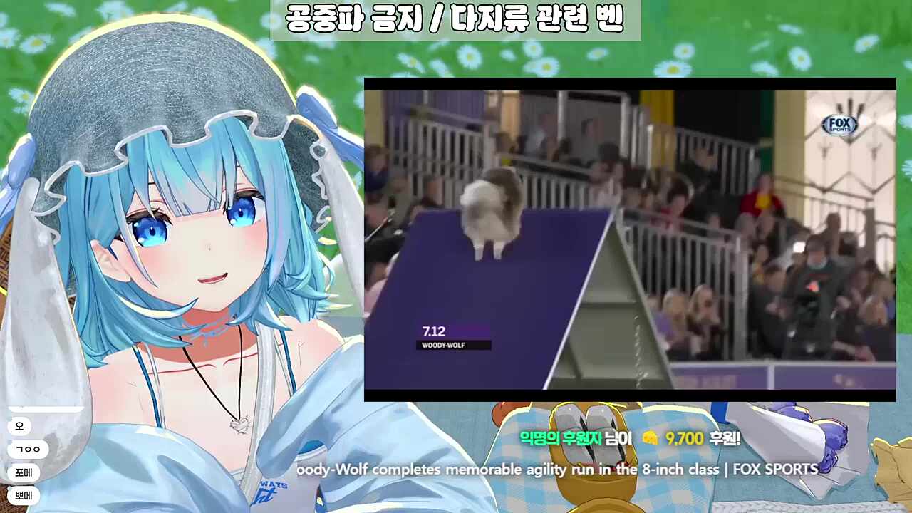 영도데이 3 - 맘뭄맘 - 캬ㅏㅏ