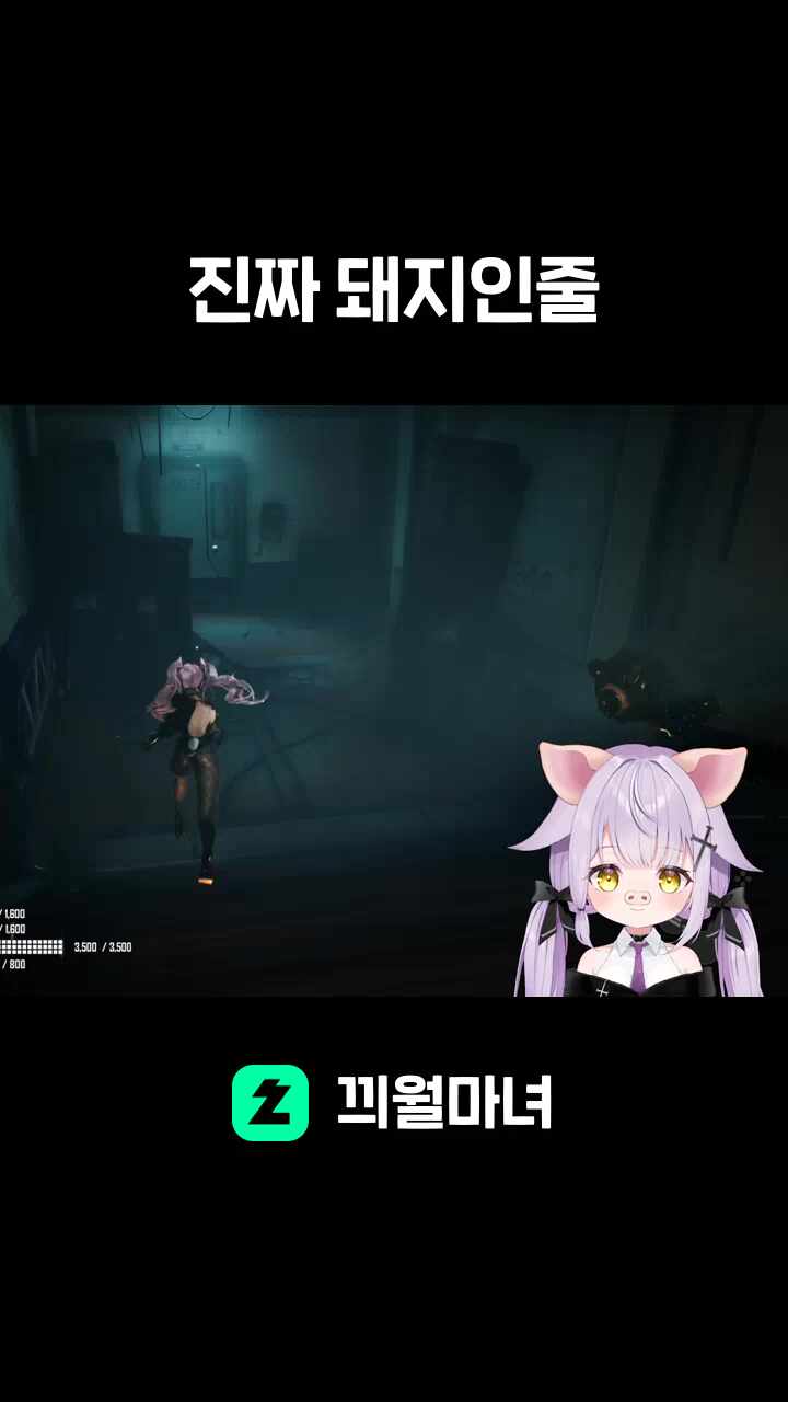 진짜 돼지인줄