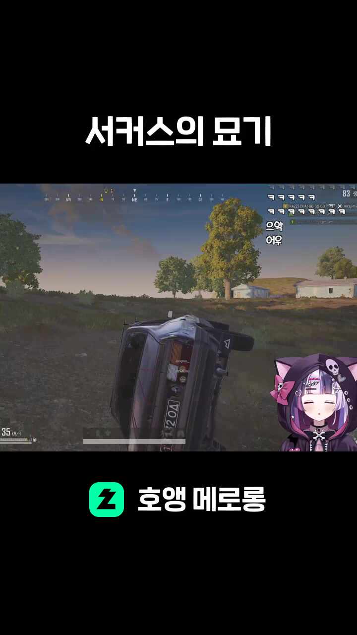 서커스의 묘기
