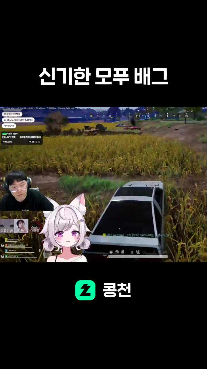 신기한 모푸 배그