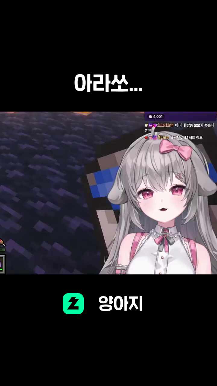 아라쏘...