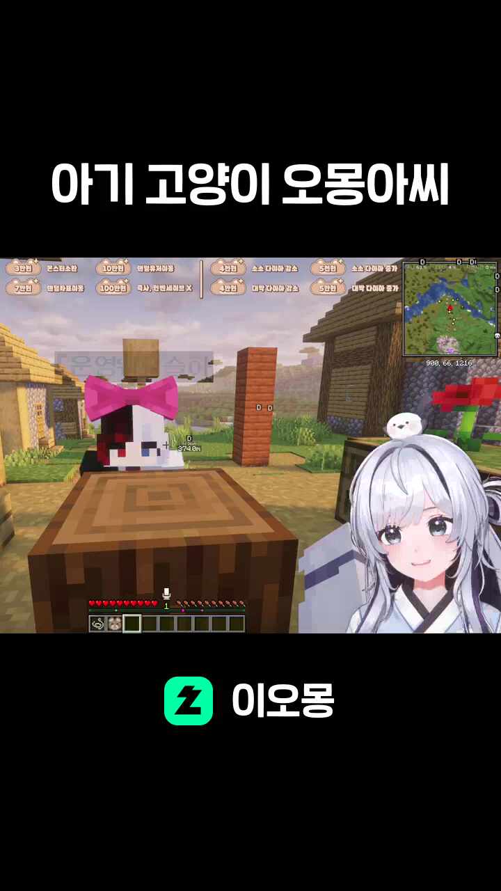 아기 고양이 오몽아씨