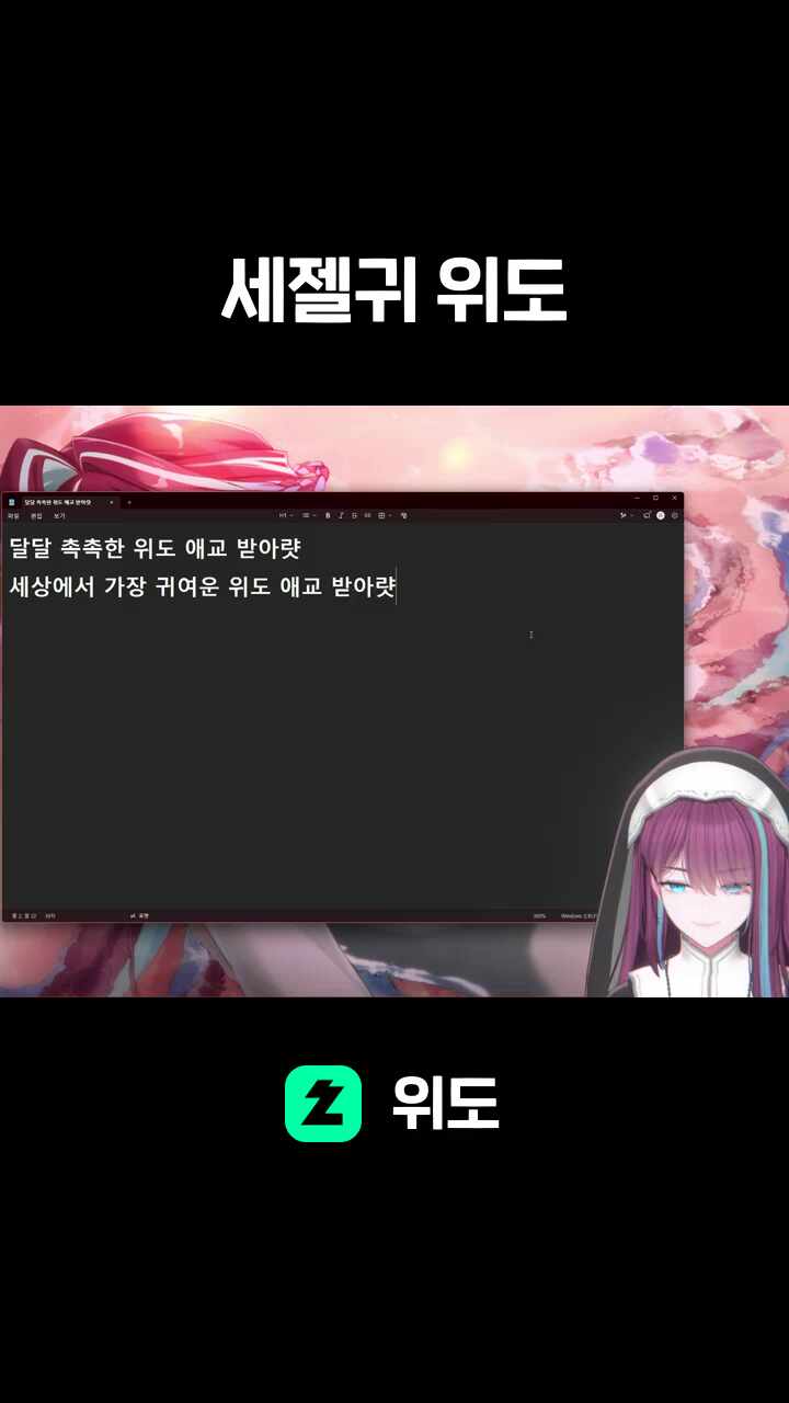 세젤귀 위도