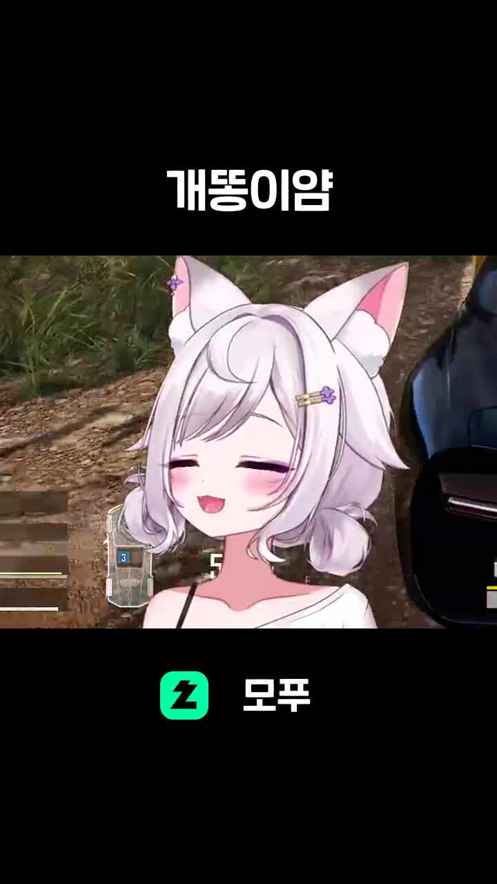 개똥이얌
