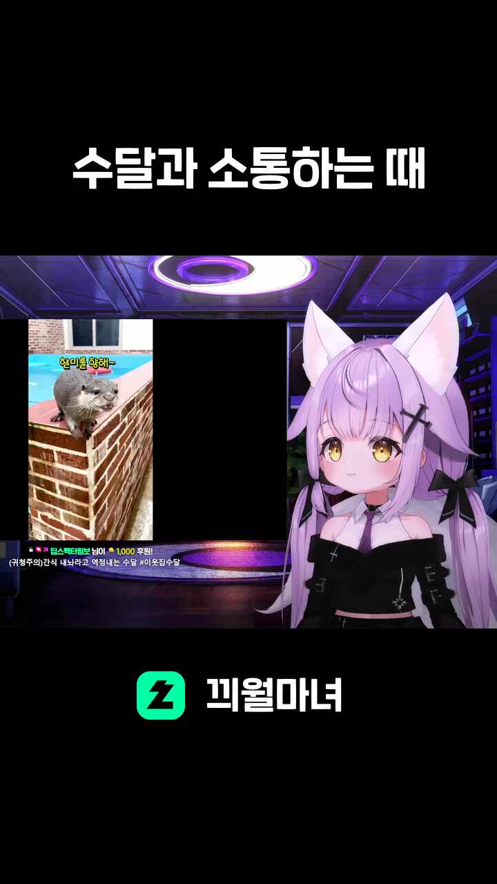 수달과 소통하는 때