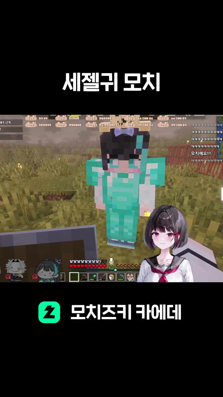 세젤귀 모치