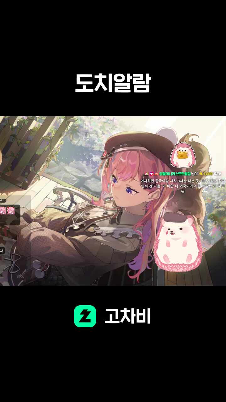 도치알람