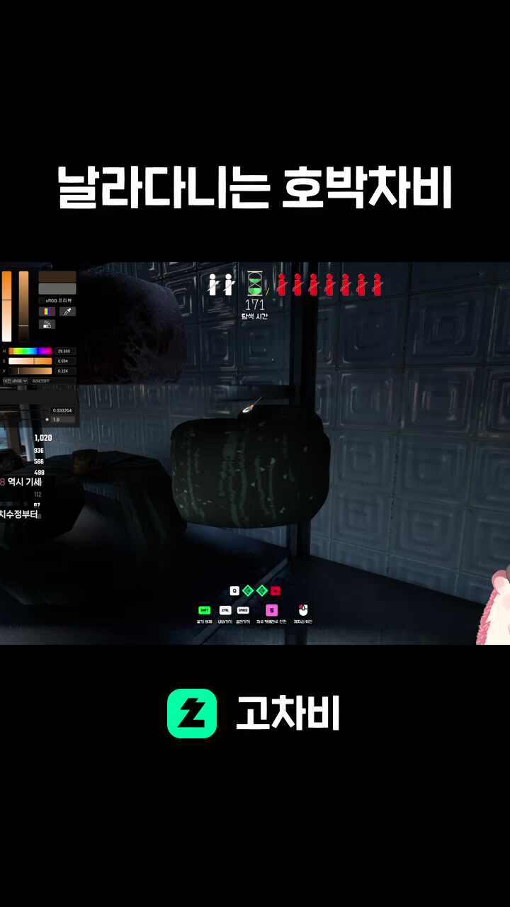 날라다니는 호박차비