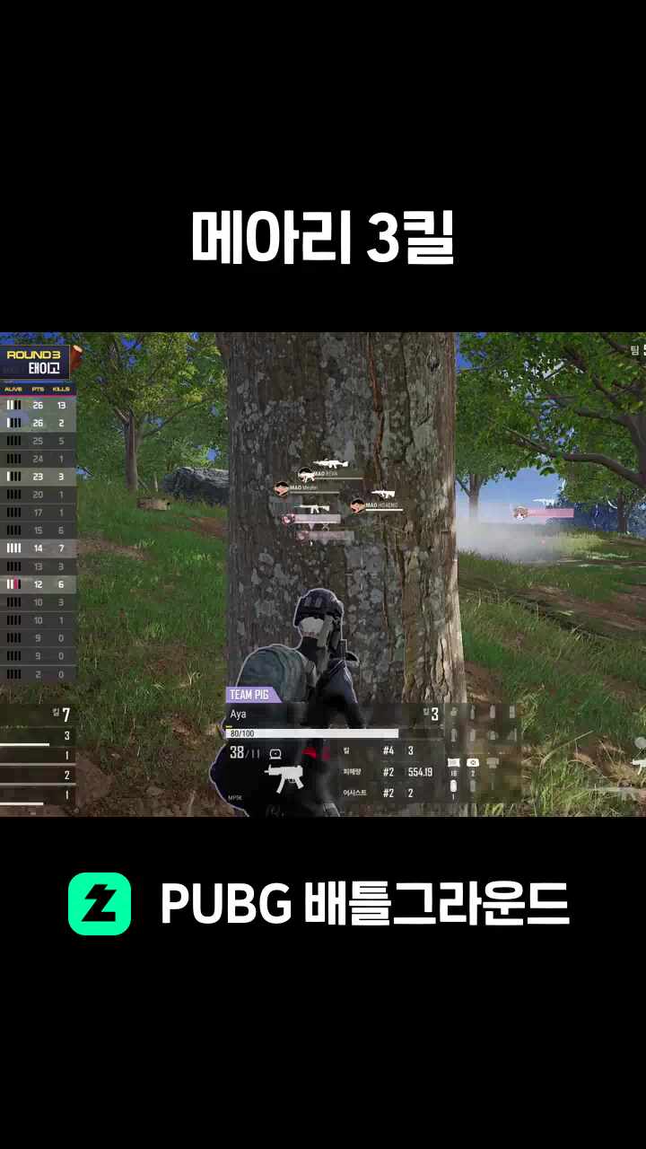 메아리 3킬