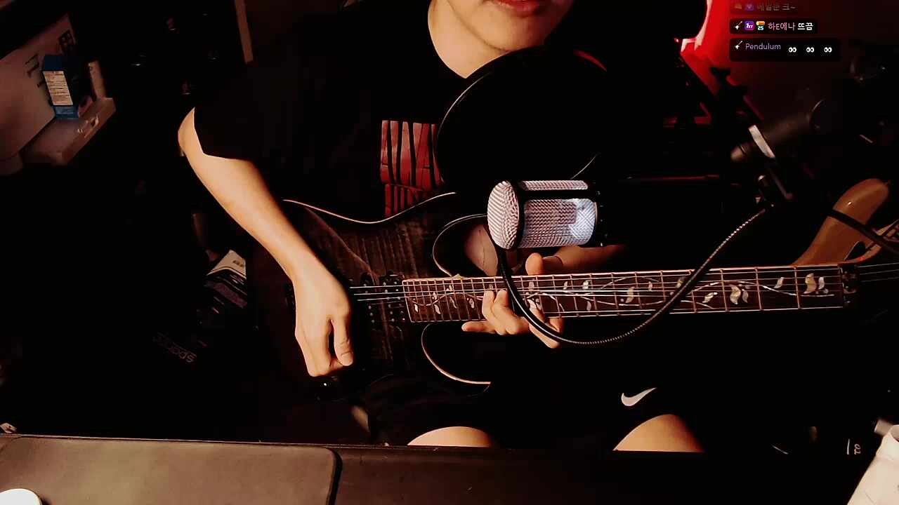 산기슭의 하이에나