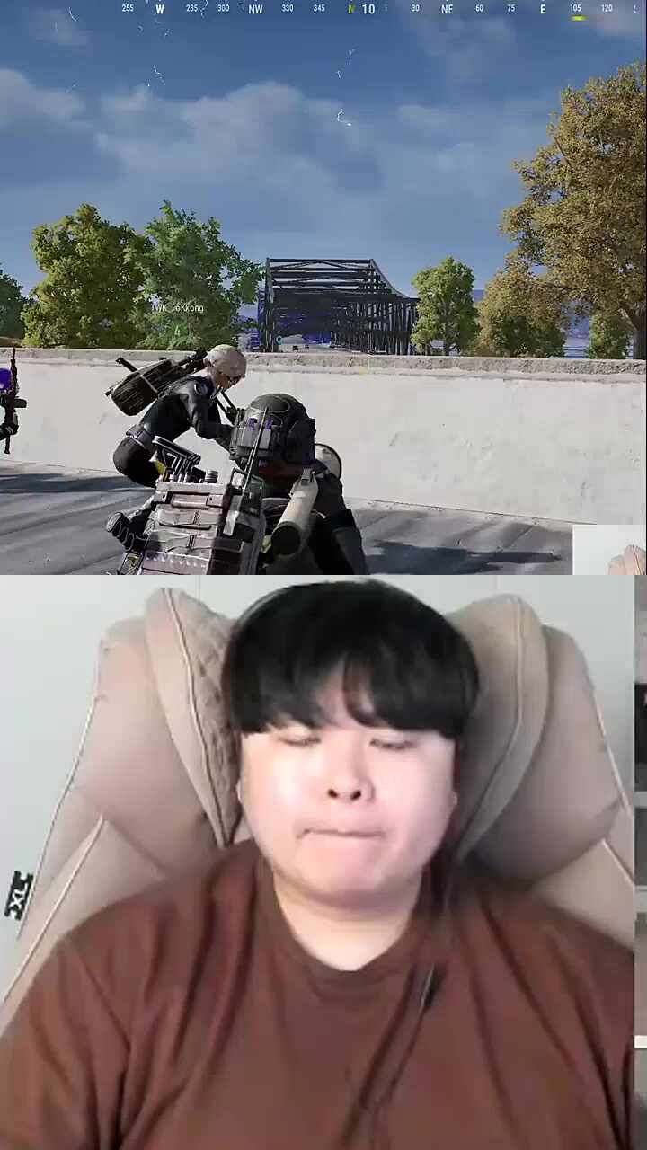 로마러 판쳐 팀킬
