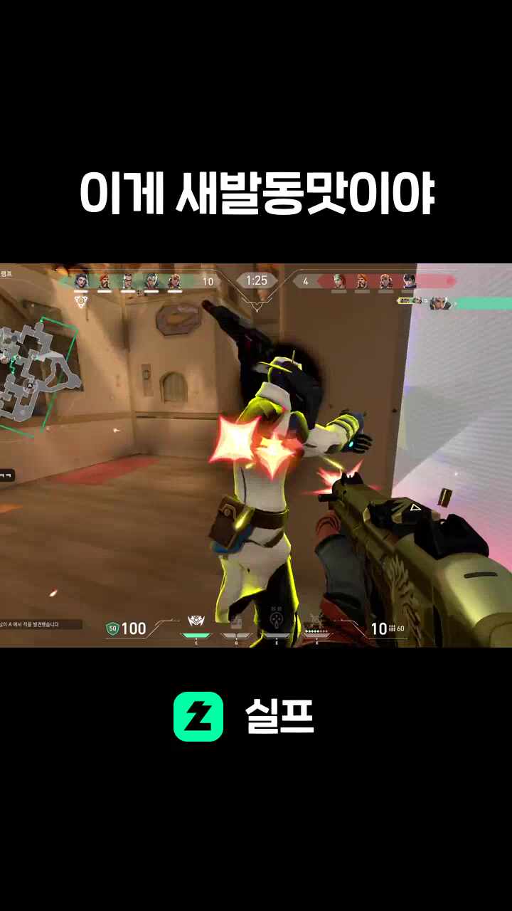 이게 새발동맛이야
