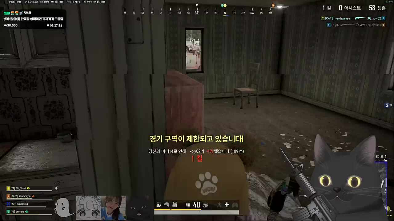 3배 ar 땡기는 고양이