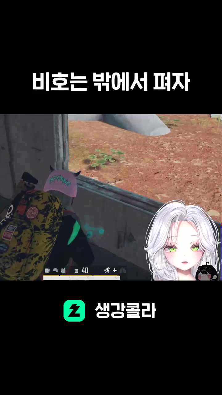 비호는 밖에서 펴자