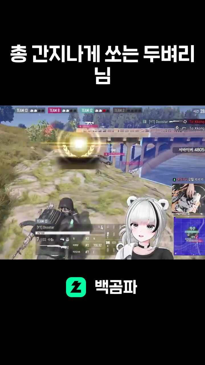 총 간지나게 쏘는 두벼리님