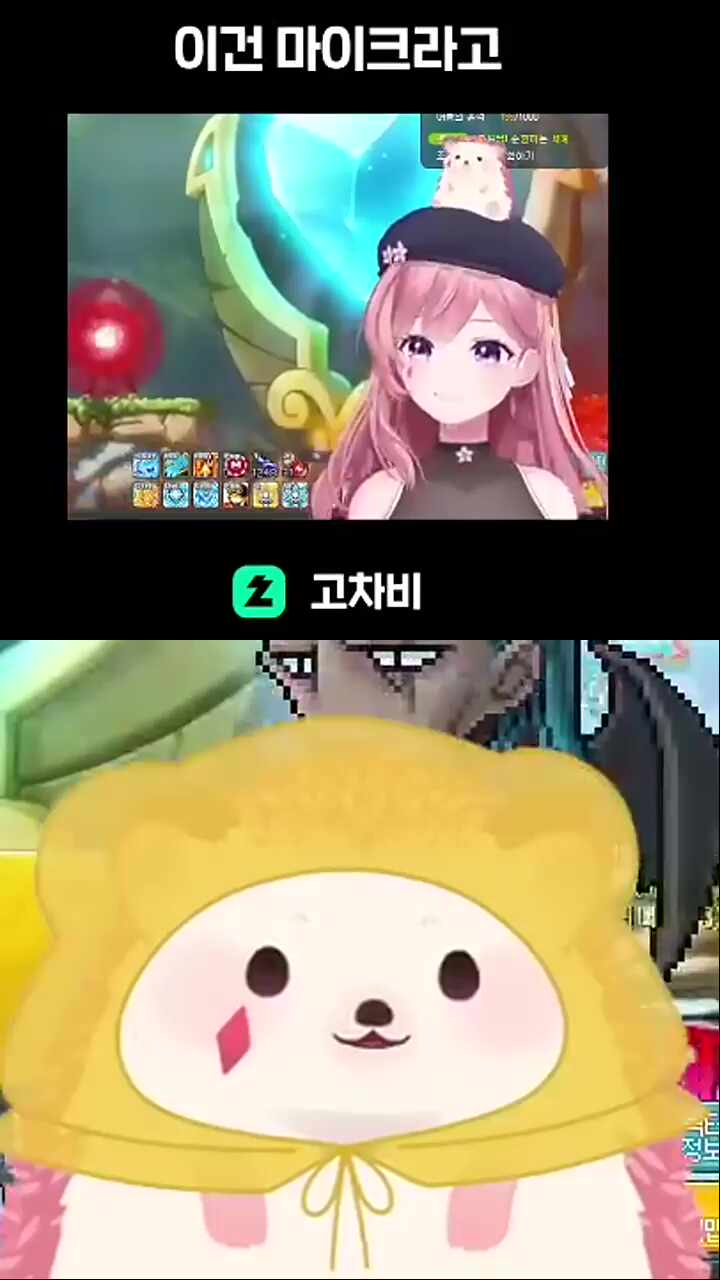 빡큐 빡큐