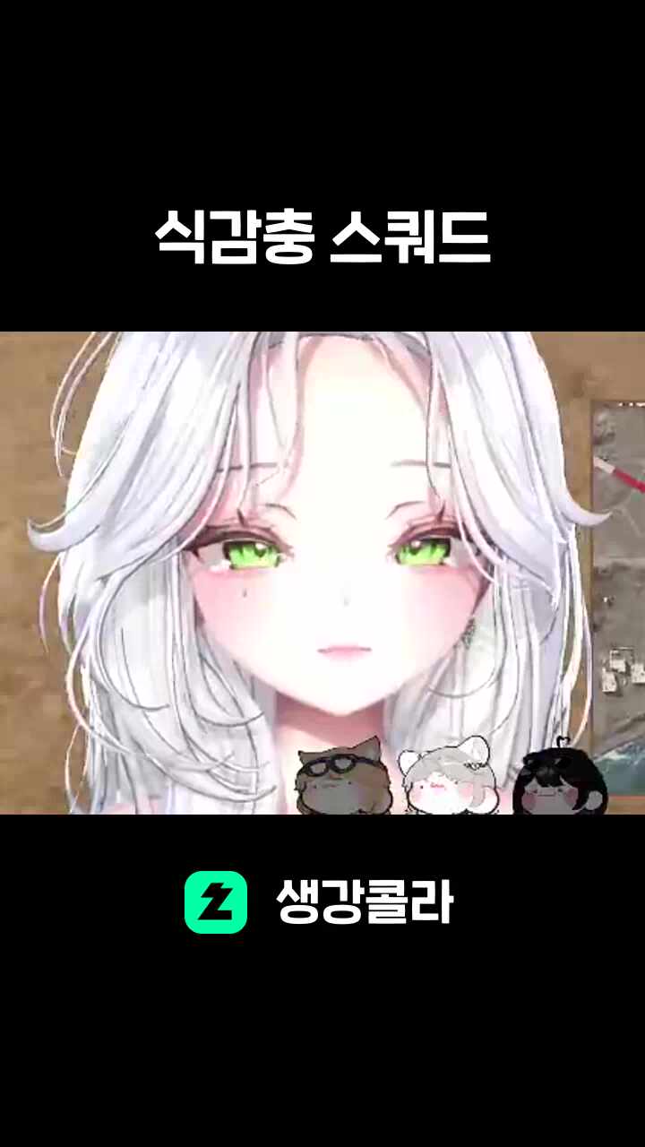 식감충 스쿼드