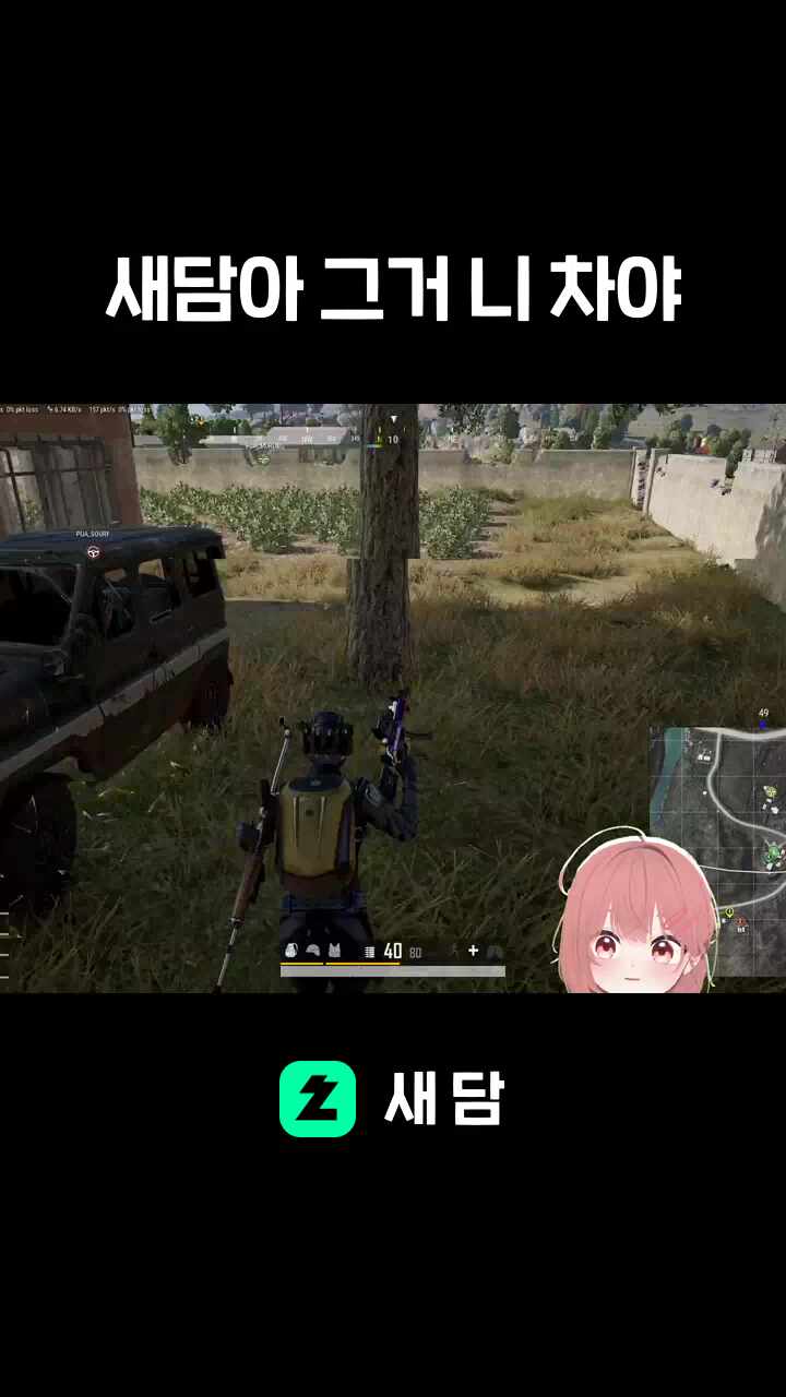 새담아 그거 니 차야