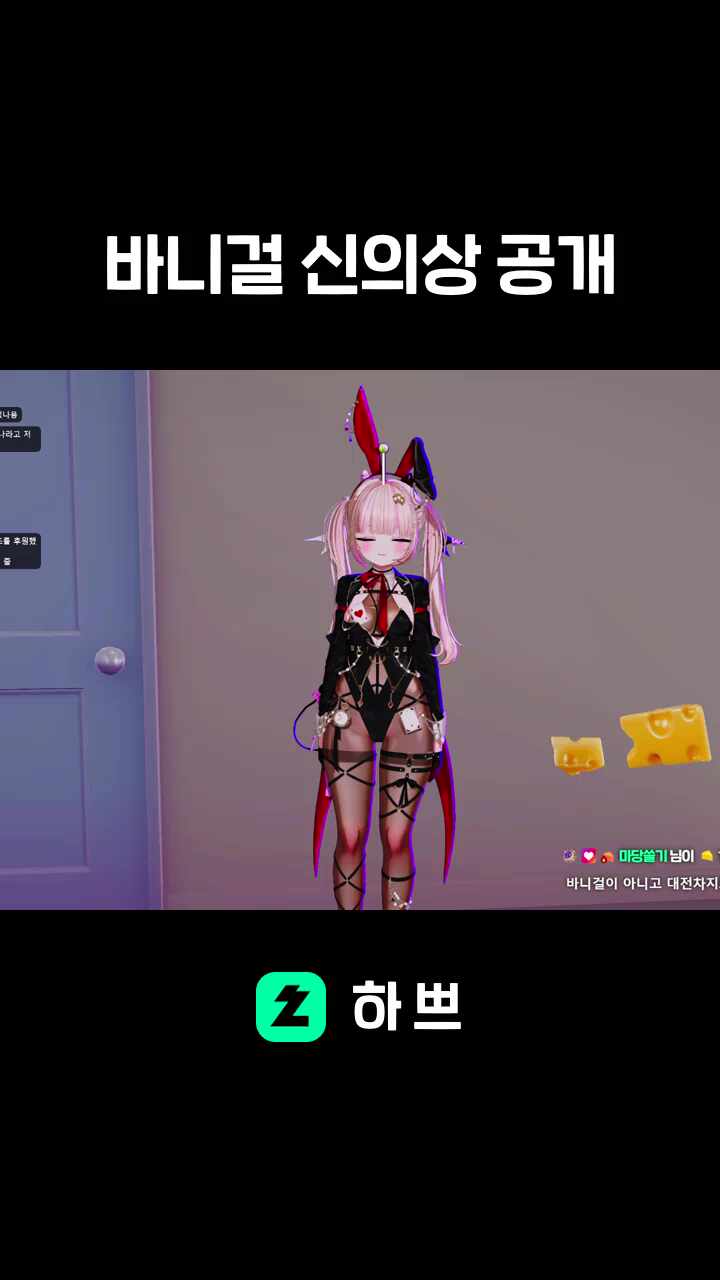 바니걸 신의상 공개