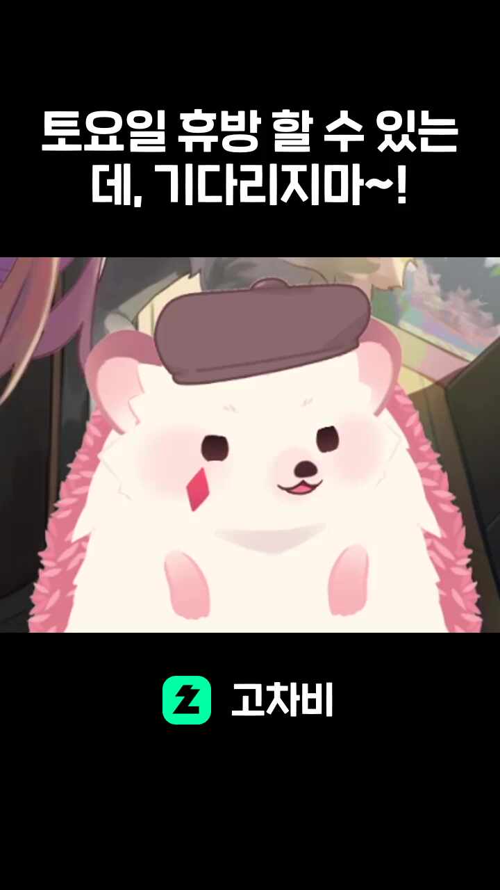 토요일 휴방 할 수 있는데, 기다리지마~!