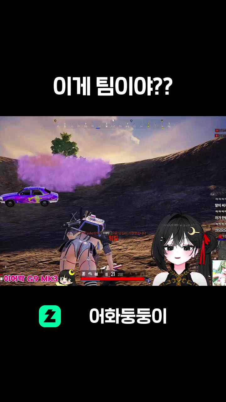 이게 팀이야??