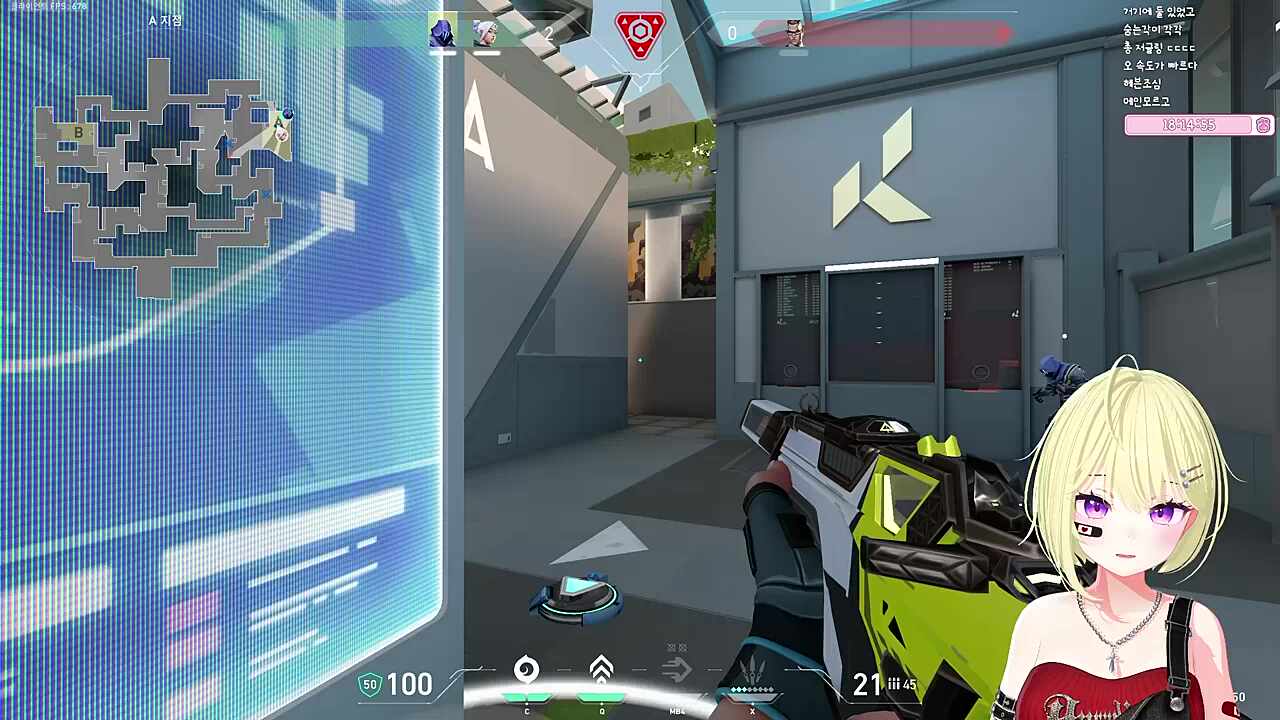 봄냥아 미안하다
