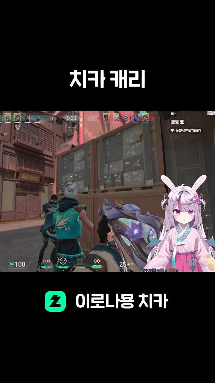 치카 캐리