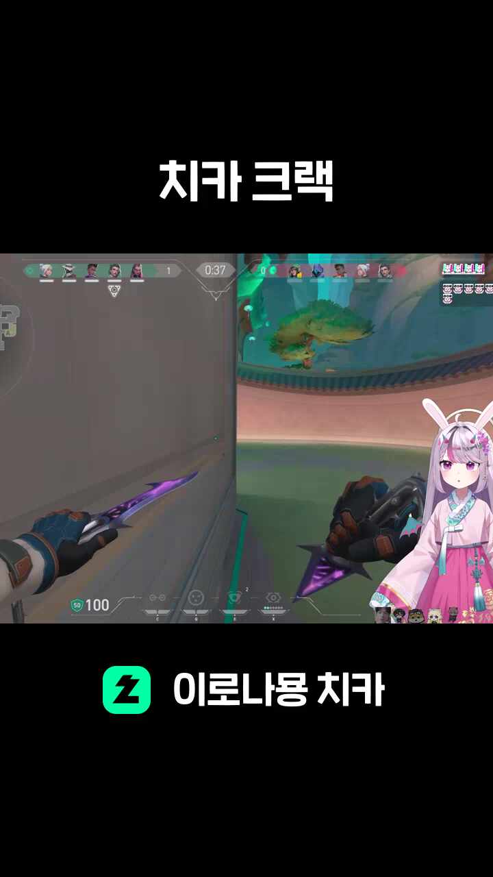 치카 크랙