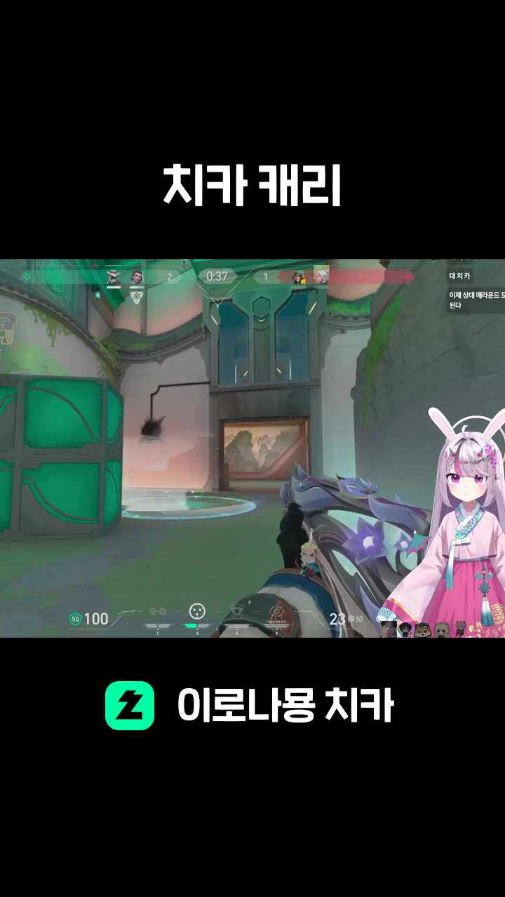 치카 캐리