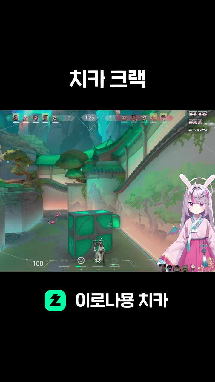 치카 크랙