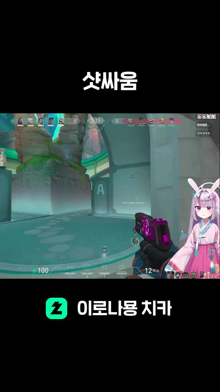 샷싸움