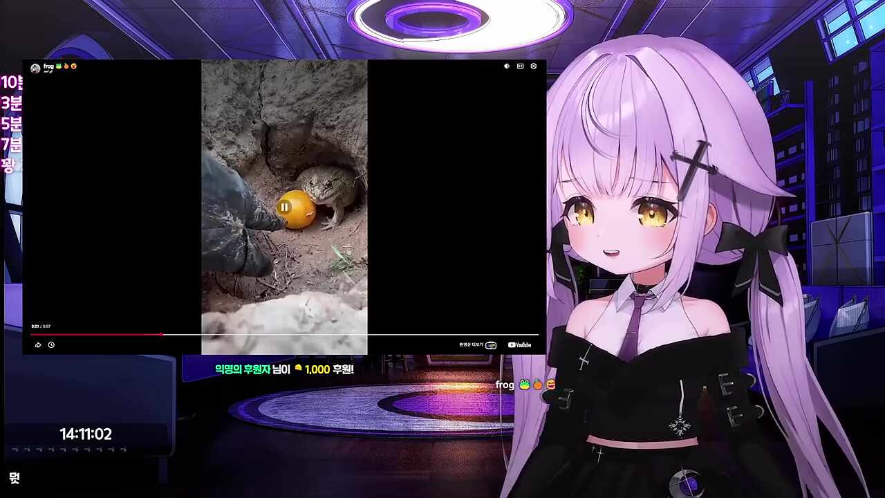뿅